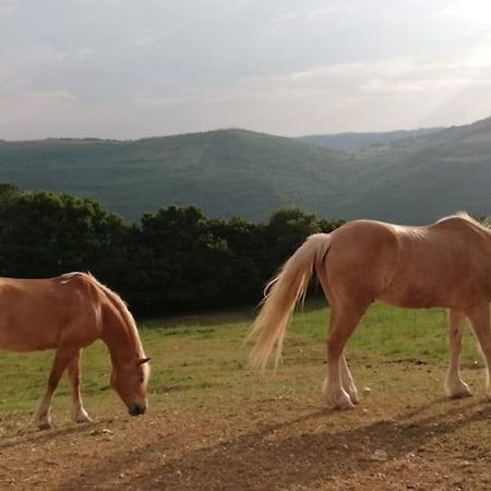 B&B Ca Montemezzano Werona Zewnętrze zdjęcie