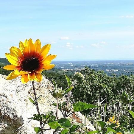 B&B Ca Montemezzano Werona Zewnętrze zdjęcie