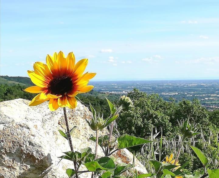 B&B Ca Montemezzano Werona Zewnętrze zdjęcie