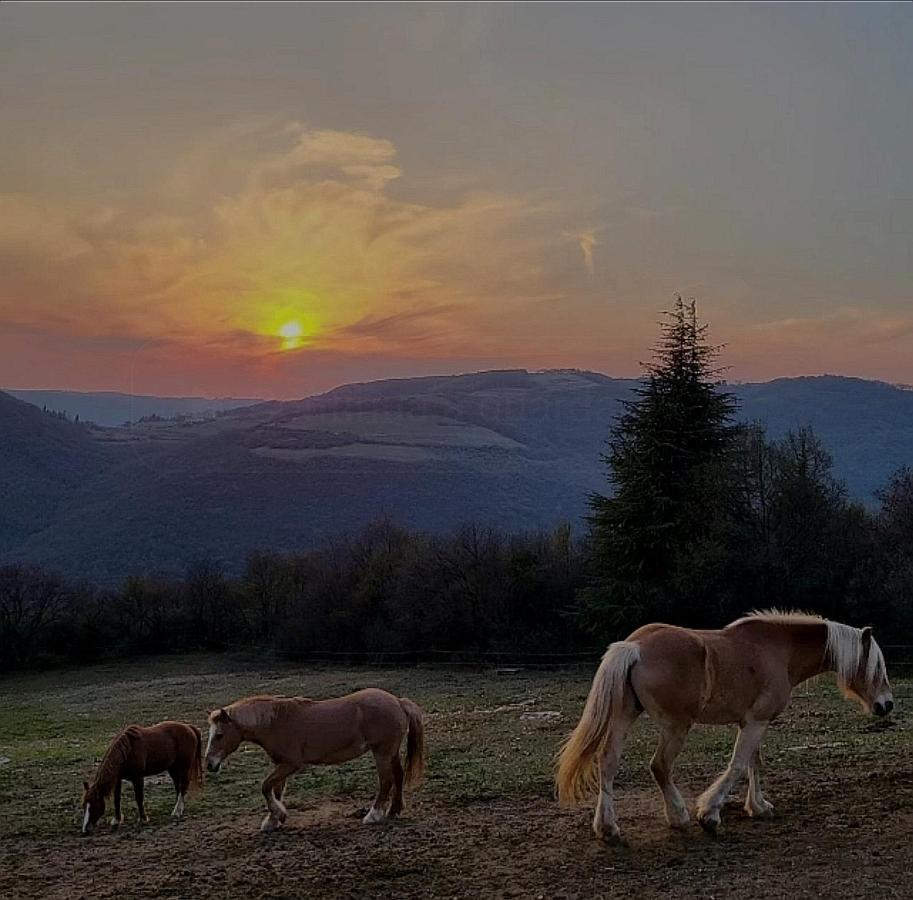 B&B Ca Montemezzano Werona Zewnętrze zdjęcie